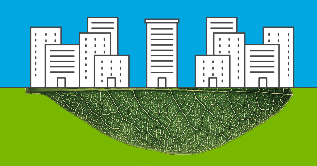 White animated buildings