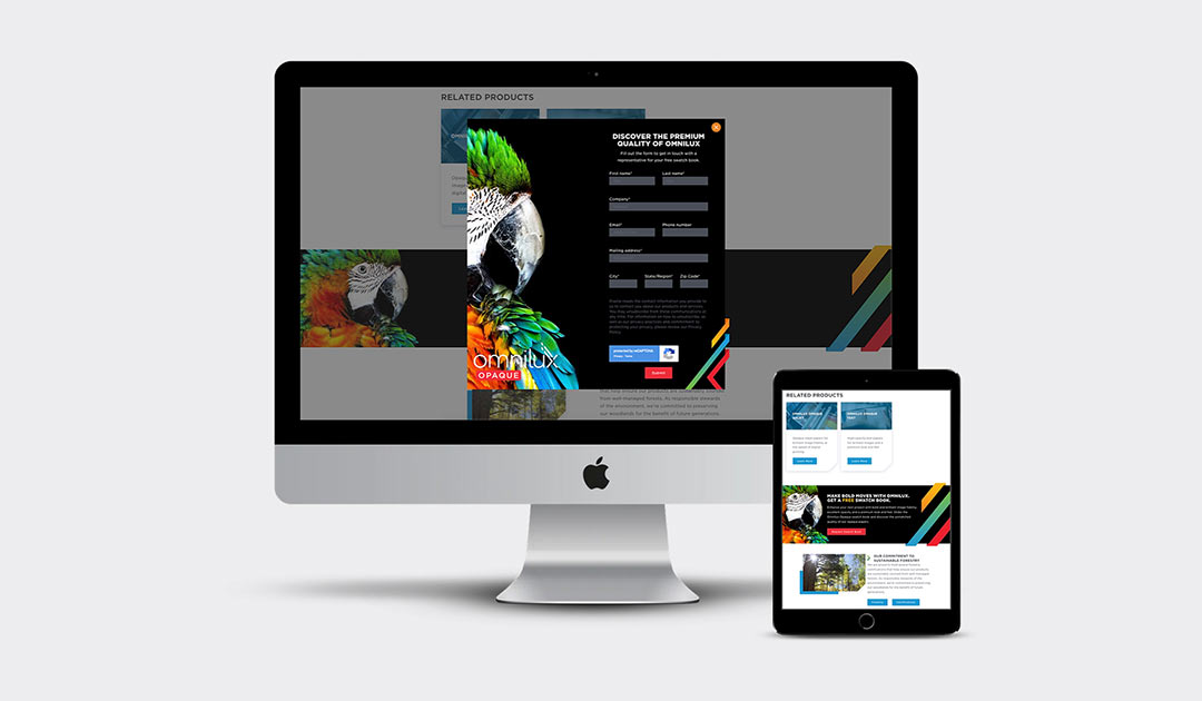 Omnilux-PromoForm-2
