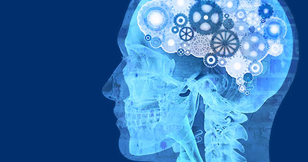 Understanding the mind of the engineer