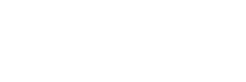 Domo Partner Logo