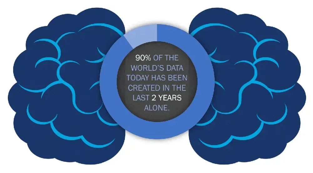 Summary of Data