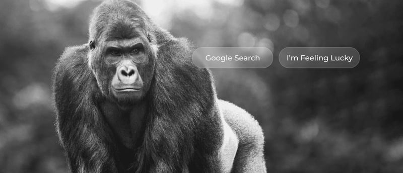 Black-and-white image of a gorilla with overlaid “Google Search” and “I’m Feeling Lucky” buttons, mimicking the Google homepage.